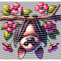 Cartoons and other-CO 1122